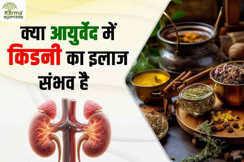 kya ayurved mein kidney ka ilaaj sambhav hai